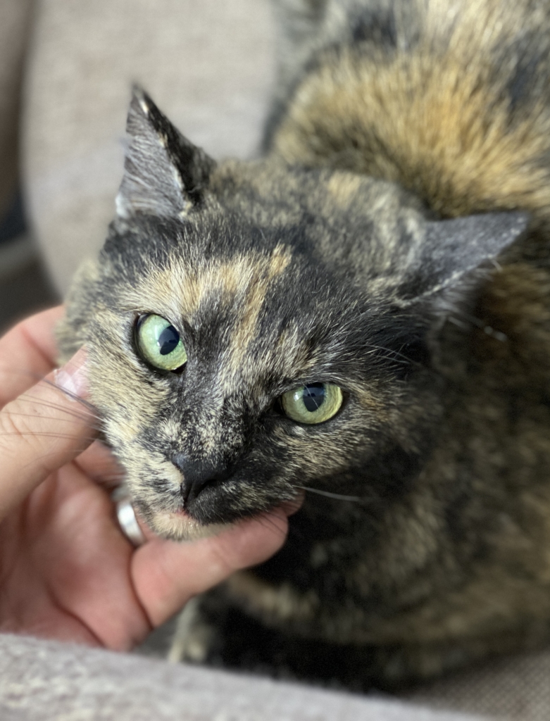 Buchenau_2023 (161).jpg